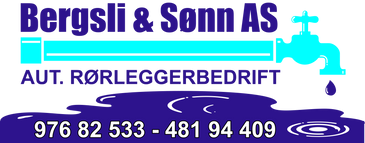 VVS Bergli